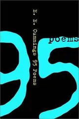 Cover of 95 poems