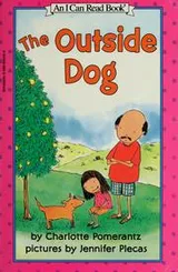 Cover of The outside dog