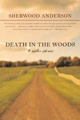 Cover of Death in the woods