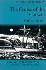 Cover of The Cruise of the Corwin