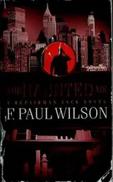 Cover of The haunted air
