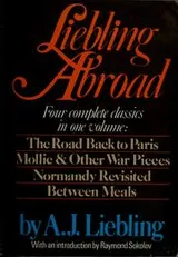 Cover of Liebling abroad