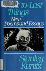 Cover of Next-toLast Things