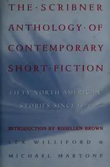 Cover of The Scribner Anthology of Contemporary Short Fiction