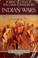 Cover of Indian wars