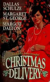 Cover of Christmas delivery