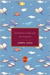 Cover of Interpreter of Maladies/The Namesake