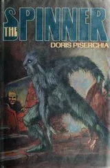 Cover of The spinner