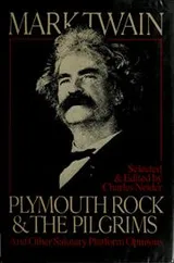 Cover of Plymouth Rock and the Pilgrims and other salutary platform opinions