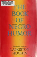 Cover of The Book of Negro Humor