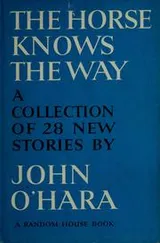Cover of The horse knows the way