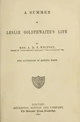 Cover of A summer in Leslie Goldthwaite's life