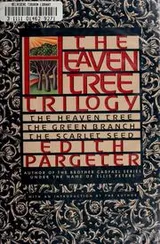 Cover of The heaven tree trilogy