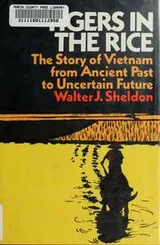 Cover of Tigers in the rice