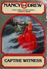 Cover of Captive Witness