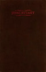 Cover of Dawn of remembered spring