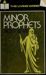 Cover of The minor prophets