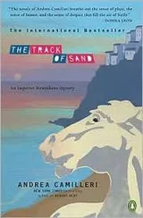 Cover of The track of sand