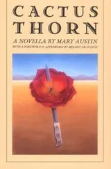 Cover of Cactus thorn