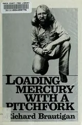 Cover of Loading mercury with a pitchfork