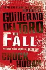 Cover of The Fall