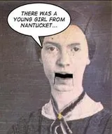 Cover of The manuscript books of Emily Dickinson