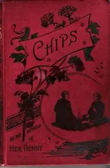 Cover of Chips