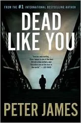 Cover of Dead like you