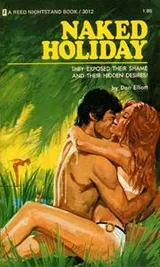 Cover of Naked Holiday