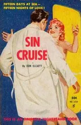 Cover of Sin Cruise