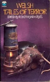 Cover of Welsh Tales of Terror