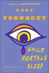 Cover of While mortals sleep