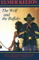 Cover of The wolf and the buffalo