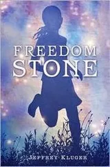 Cover of Freedom Stone