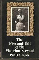 Cover of The Rise and Fall of the Victorian Servant