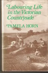 Cover of Labouring Life in the Victorian Countryside