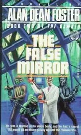 Cover of The false mirror