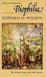 Cover of Biophilia