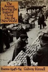 Cover of The avenue bearing the initial of Christ into the New World; poems 1946-1964