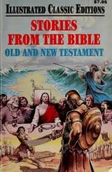 Cover of Stories from the Bible