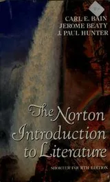 Cover of The Norton introduction to literature--shorter fourth edition