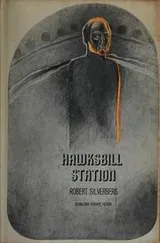Cover of Hawksbill Station