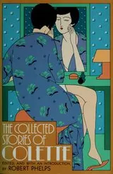 Cover of The collected stories of Colette