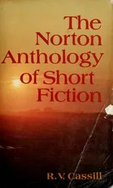 Cover of The Norton Anthology of Short Fiction