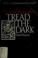 Cover of Tread the dark