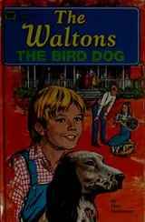 Cover of The Waltons