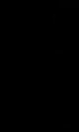 Cover of The turquoise lament