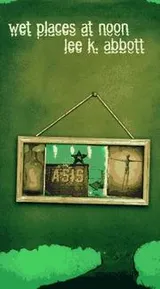 Cover of Wet places at noon