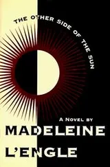 Cover of The other side of the sun