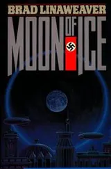 Cover of Moon of ice